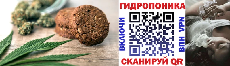 Печенье с ТГК конопля  MEGA зеркало  Чаплыгин 