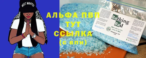 гашик Михайловск
