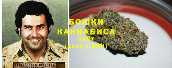 гашик Михайловск